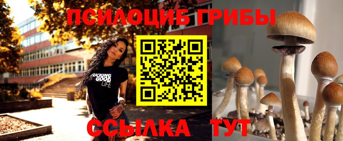 Псилоцибиновые грибы MAGIC MUSHROOMS  Вход с VPN  Дзержинск  Псилоцибиновые грибы мухоморы 